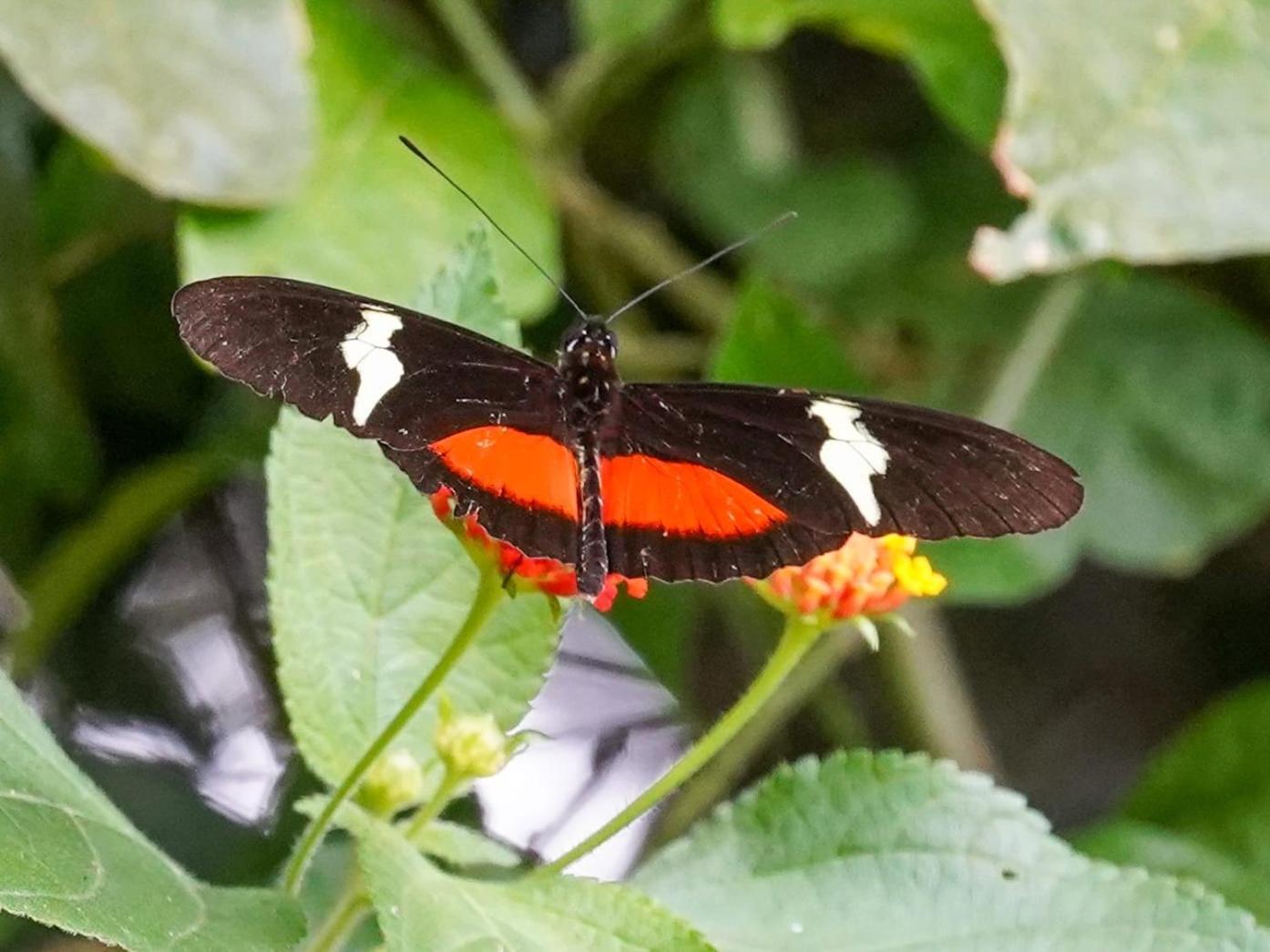 Campo Azul - Monteverde 外观 照片