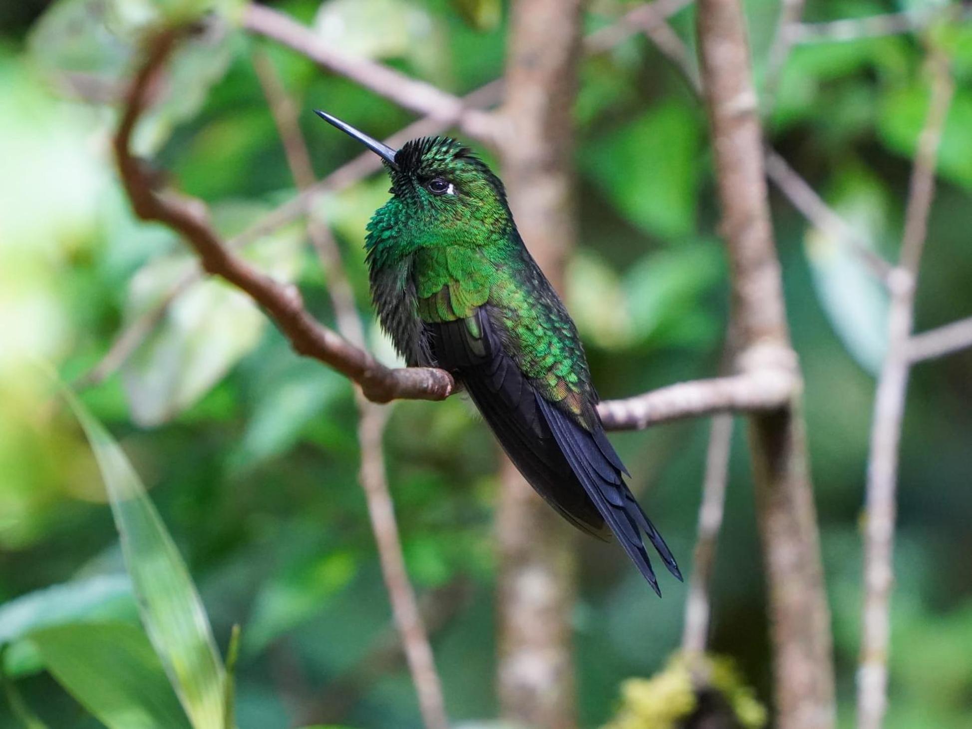 Campo Azul - Monteverde 外观 照片
