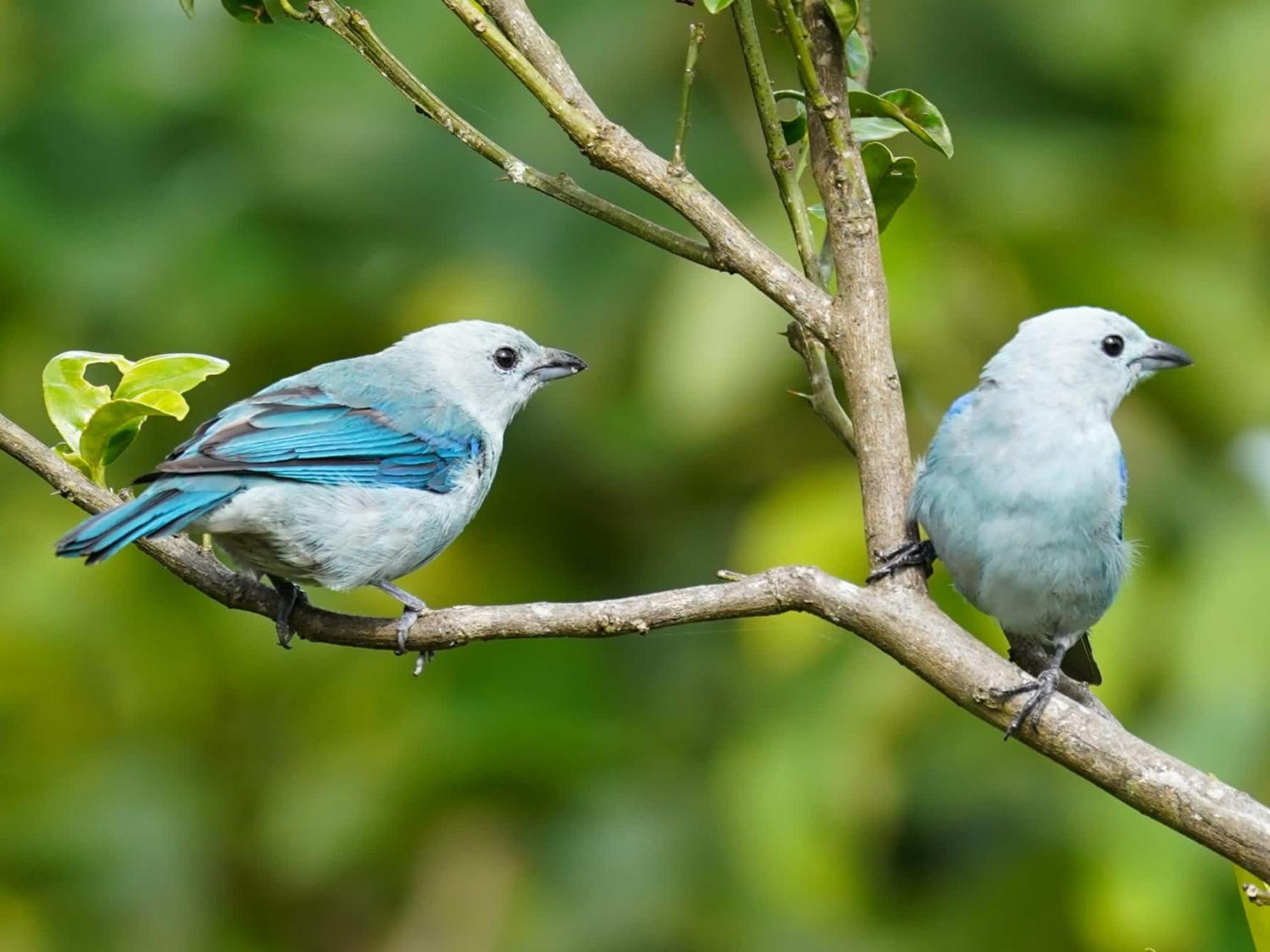 Campo Azul - Monteverde 外观 照片
