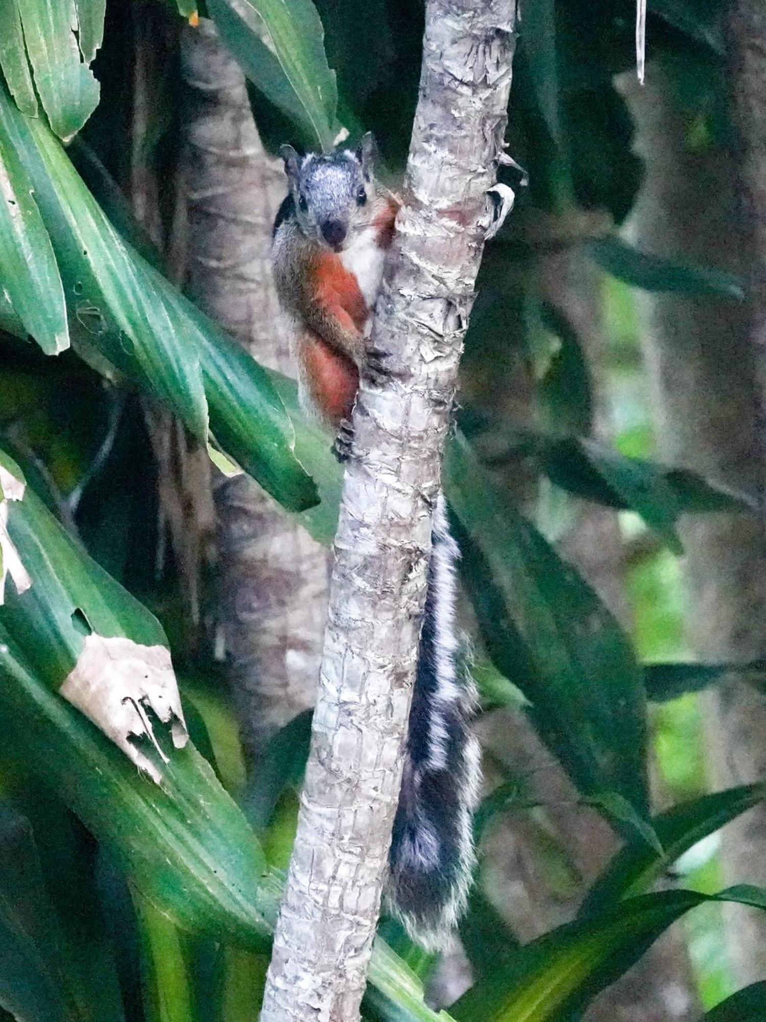 Campo Azul - Monteverde 外观 照片
